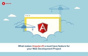 AngularJS web developement